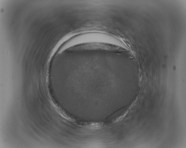 X0000081460056200701261948