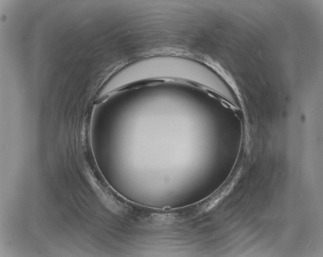 X0000081460057200701261948