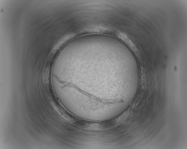 X0000081460058200701261948