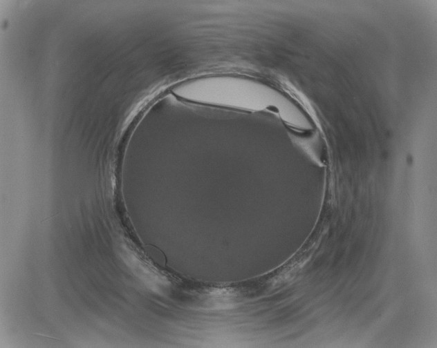 X0000081460059200701261948