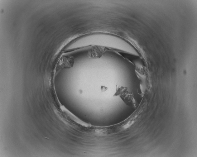 X0000081460060200701261948