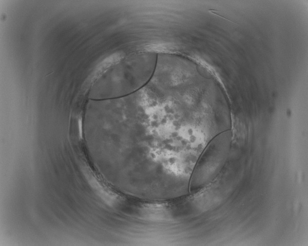 X0000081460061200701261948