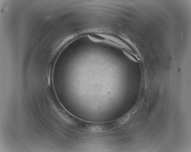 X0000081460062200701261948