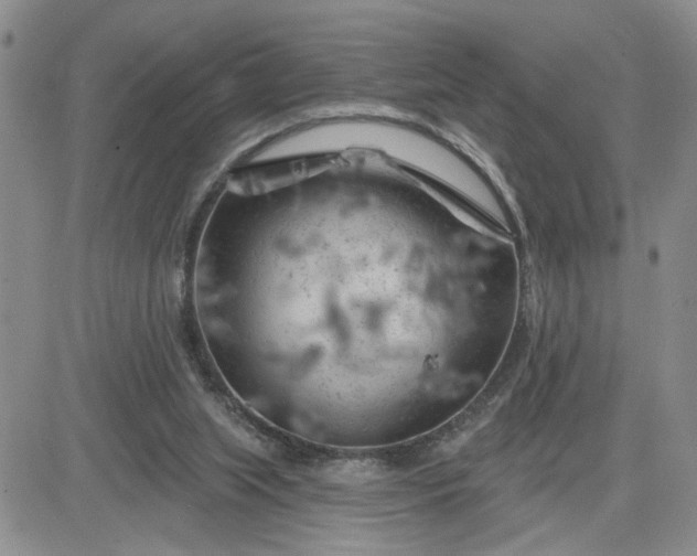 X0000081460063200701261948