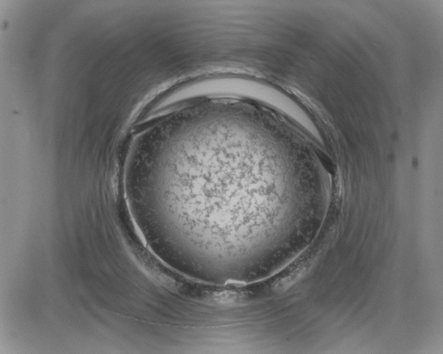 X0000081460064200701261948