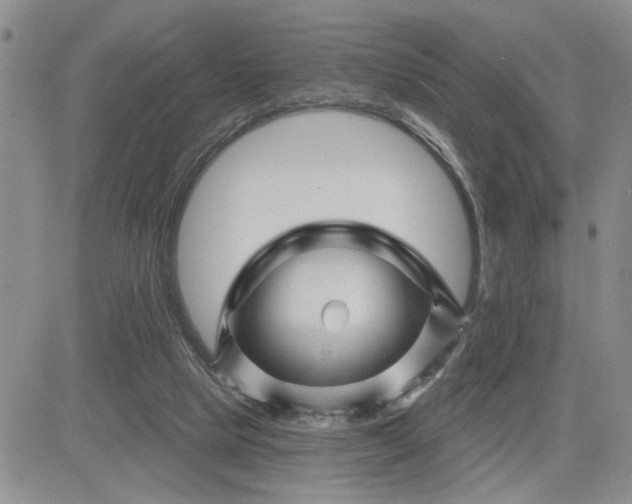 X0000081460065200701261948