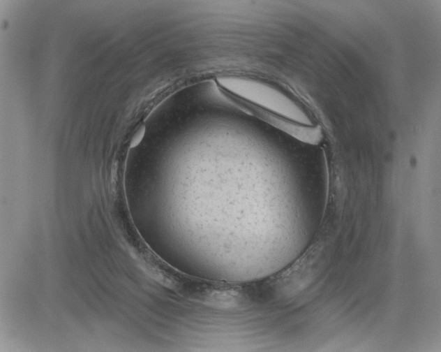 X0000081460066200701261948