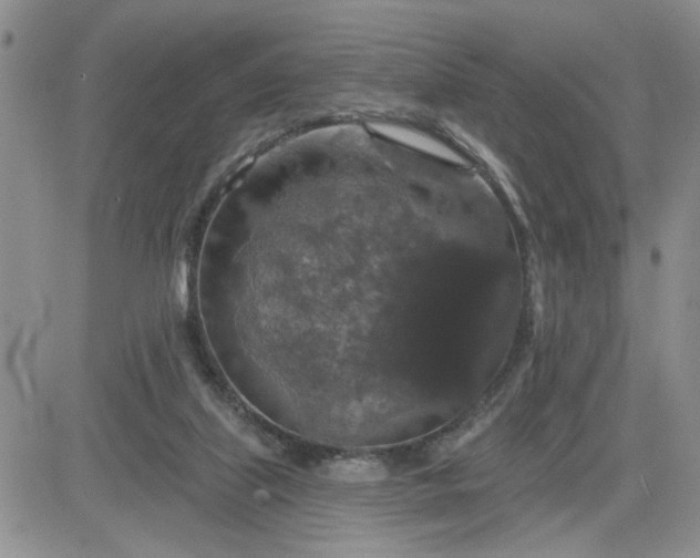 X0000081460067200701261948