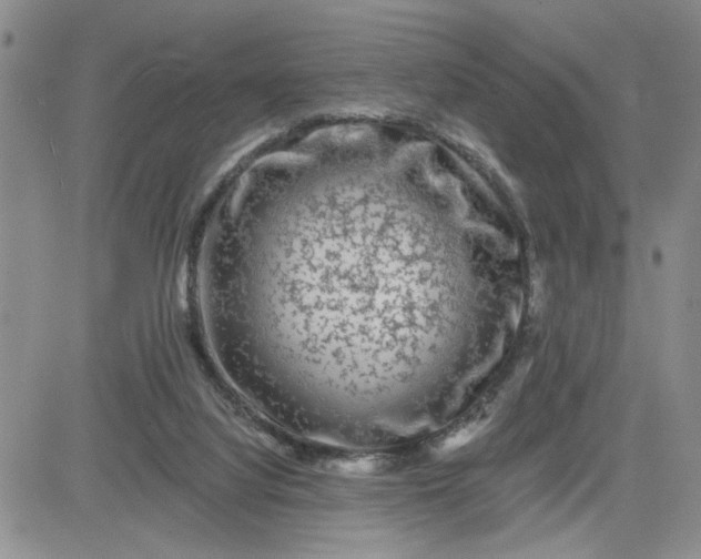 X0000081460068200701261948