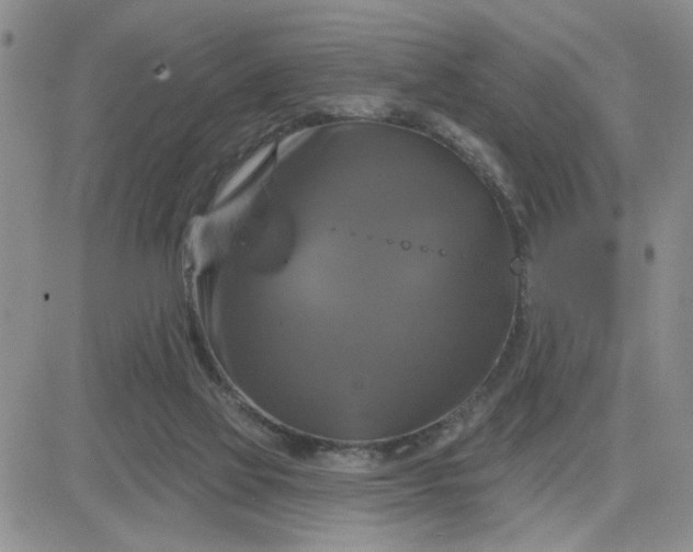 X0000081460069200701261948