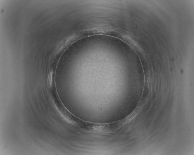 X0000081460070200701261948