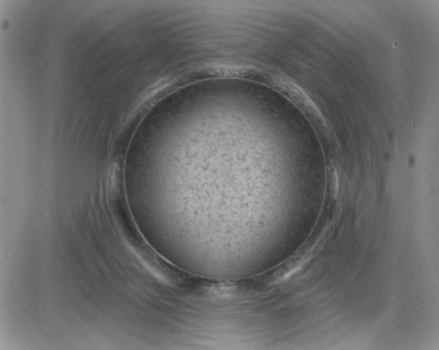 X0000081460071200701261948