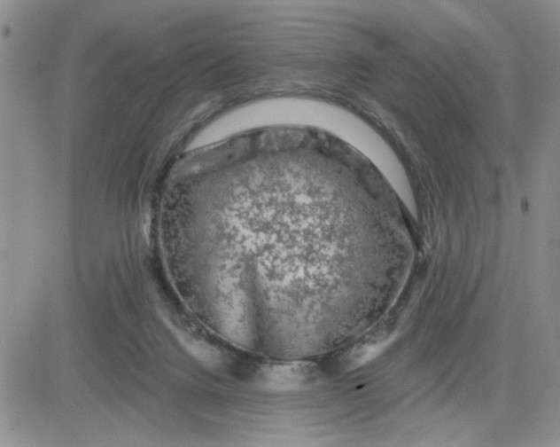 X0000081460072200701261948