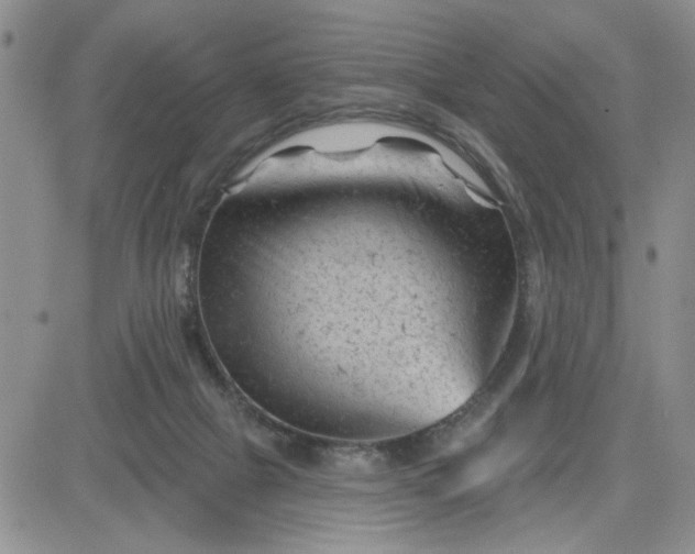 X0000081460073200701261948