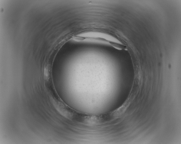 X0000081460074200701261948