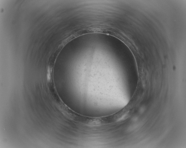 X0000081460075200701261948