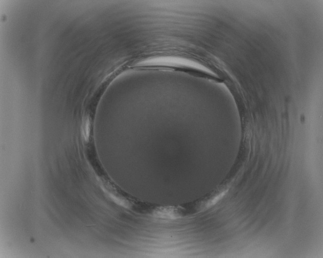 X0000081460076200701261948