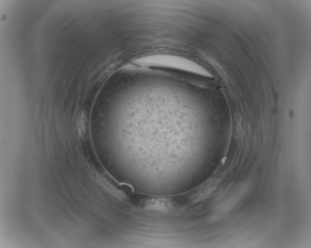 X0000081460077200701261948