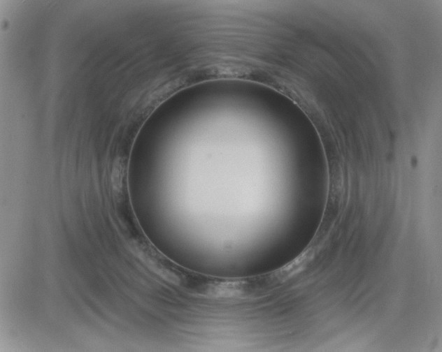 X0000081460078200701261948