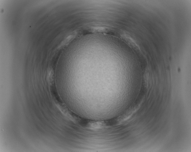 X0000081460079200701261948