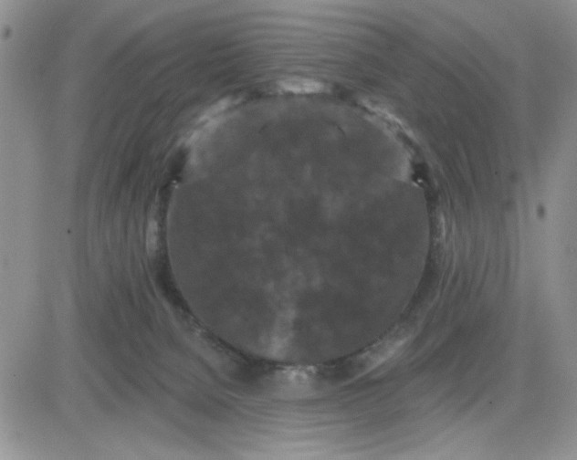 X0000081460080200701261948