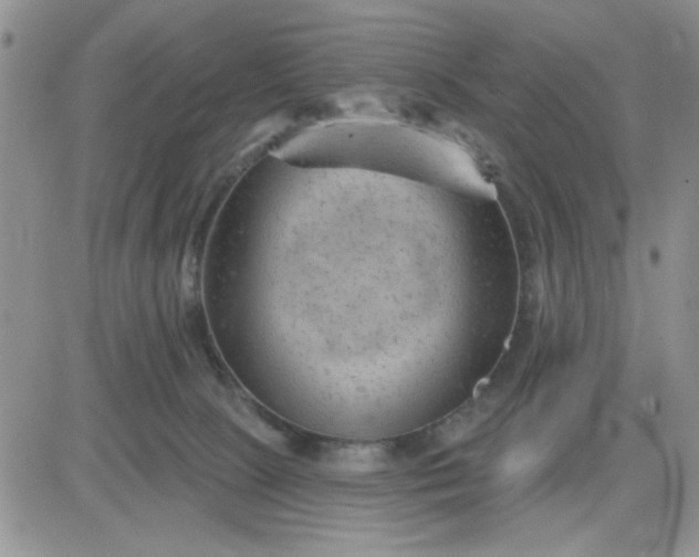 X0000081460081200701261948