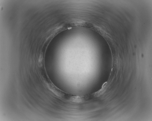 X0000081460082200701261948