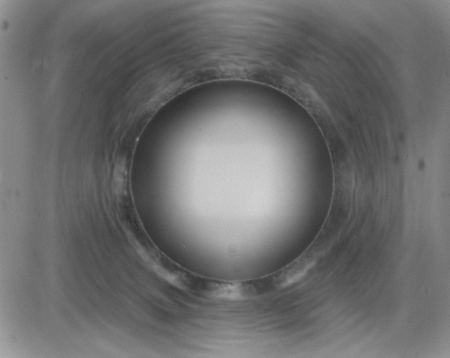 X0000081460083200701261948