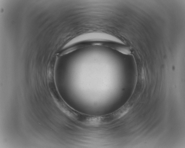 X0000081460084200701261948