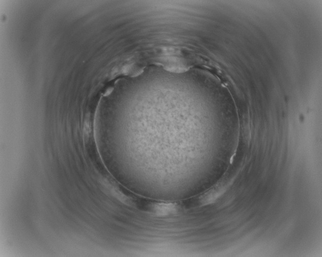 X0000081460085200701261948