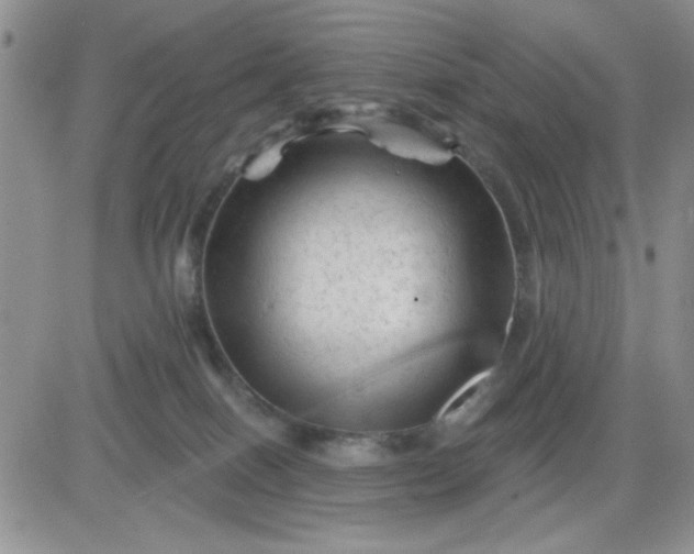 X0000081460086200701261948