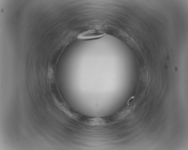 X0000081460087200701261948