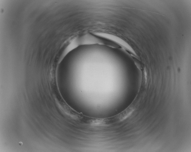 X0000081460088200701261948