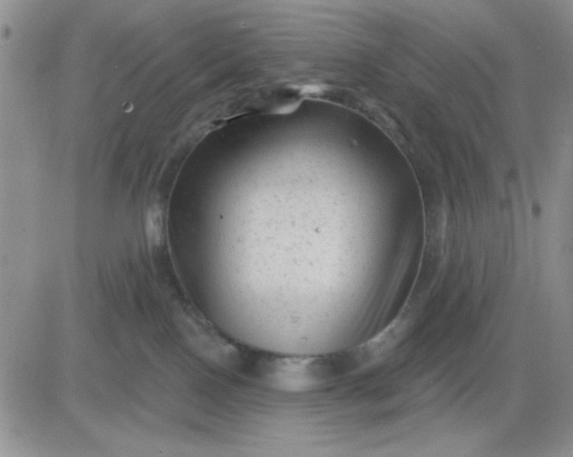 X0000081460090200701261948