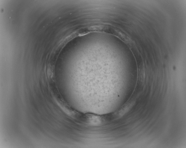 X0000081460091200701261949