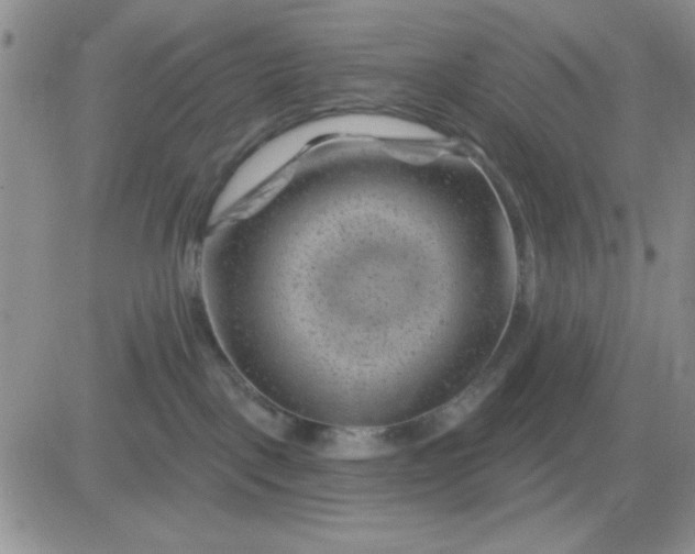 X0000081460093200701261949