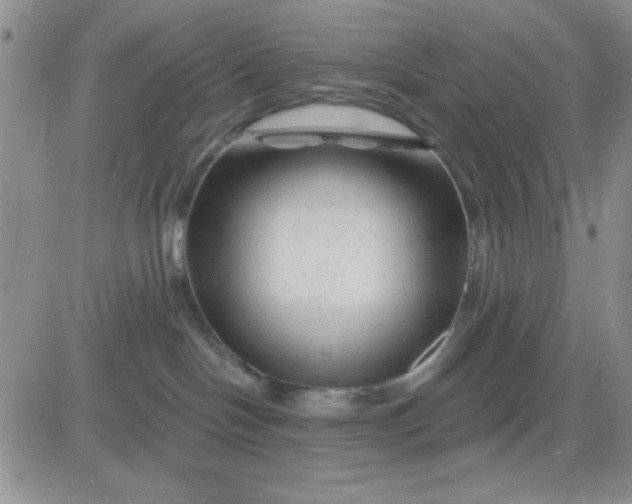 X0000081460094200701261949