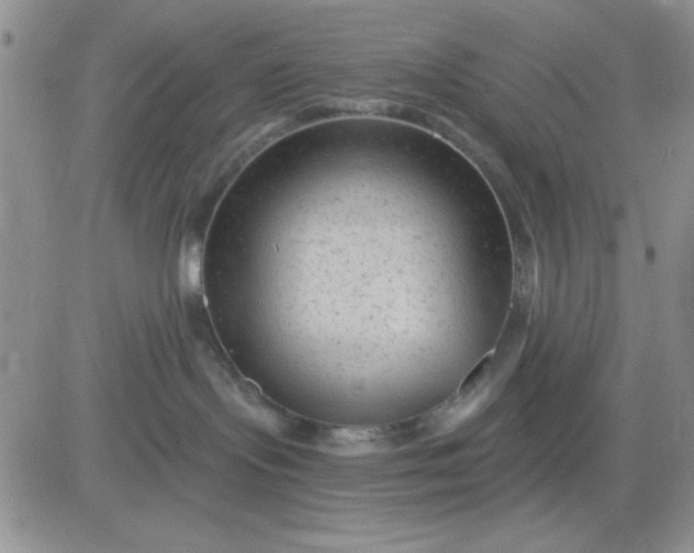 X0000081460095200701261949