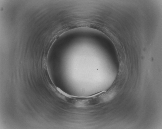 X0000081460096200701261949