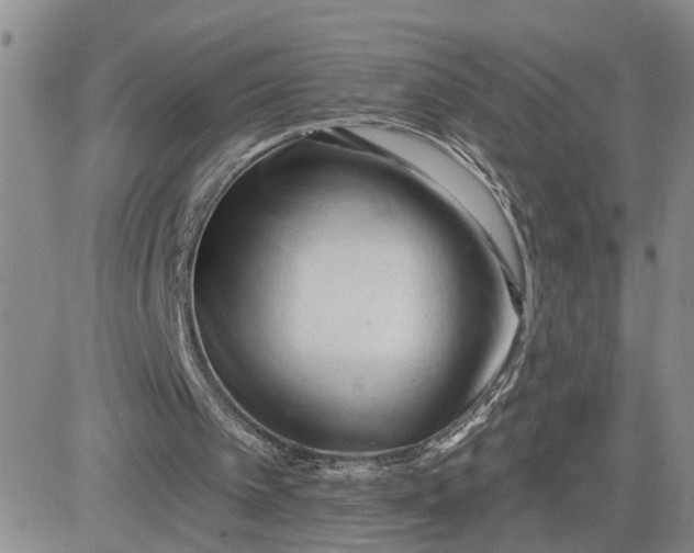 X0000081460097200701261948