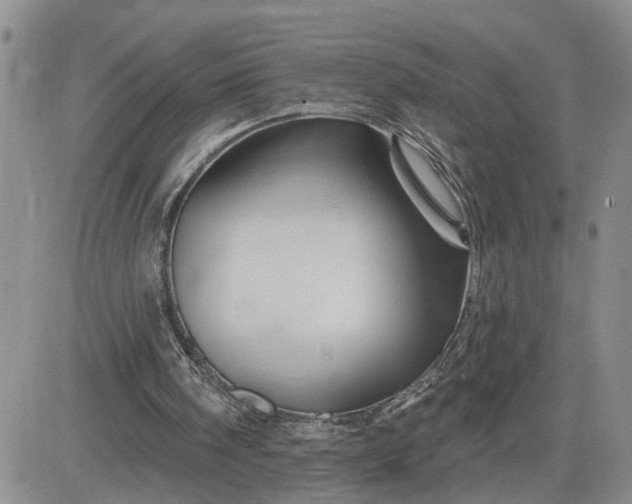 X0000081460098200701261948