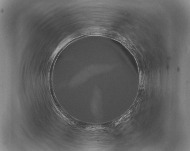 X0000081460099200701261948