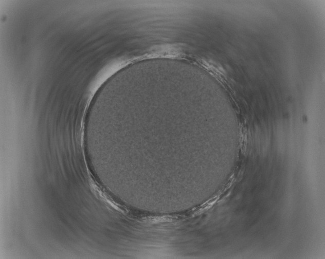 X0000081460100200701261948