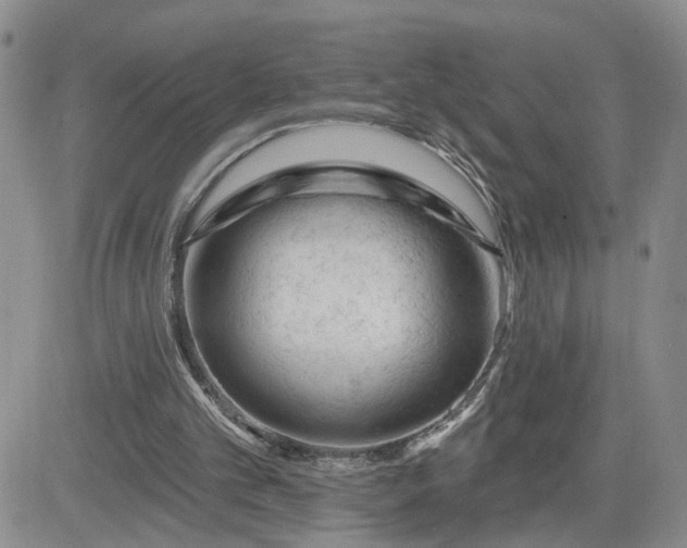 X0000081460101200701261948