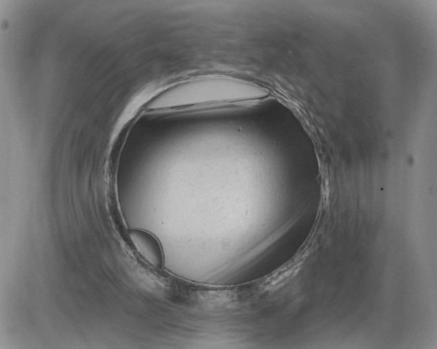 X0000081460102200701261948