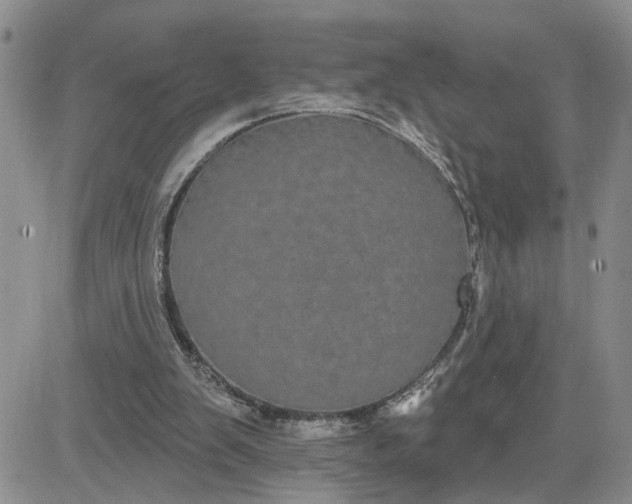 X0000081460103200701261948