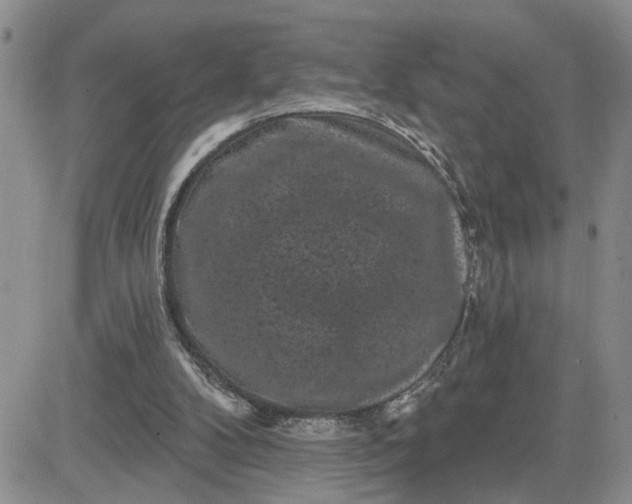 X0000081460104200701261948