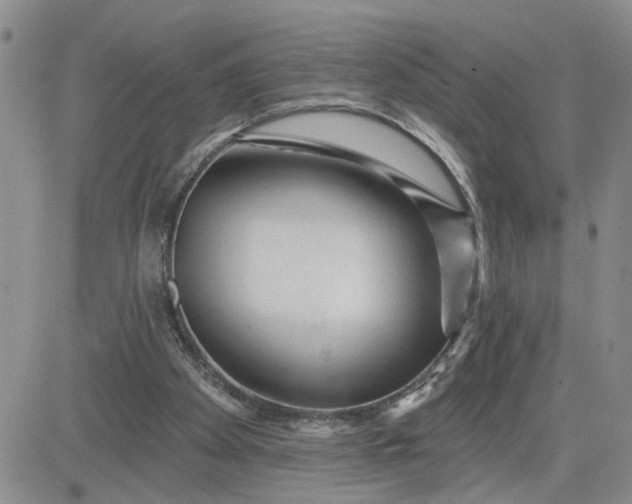 X0000081460105200701261948