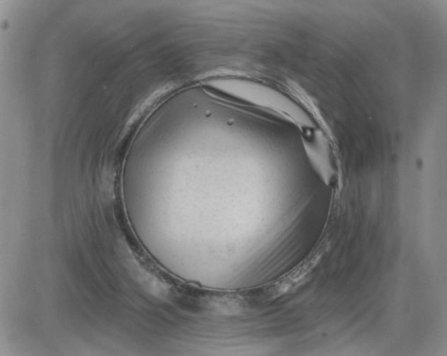 X0000081460106200701261948