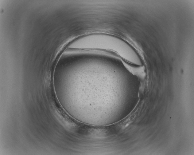 X0000081460107200701261948